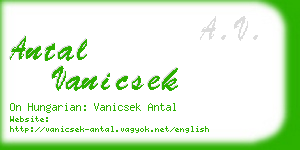 antal vanicsek business card